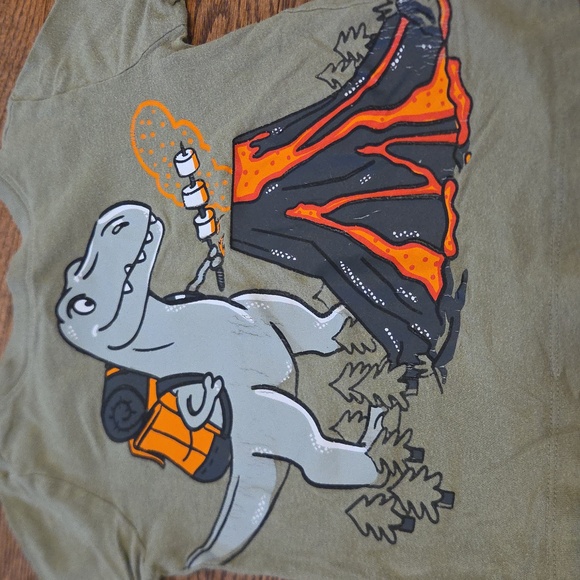 Toddler - Dinosaur Bundle: Sweatshirt, Shirts, Pants & Shorts - 3T - Picture 11 of 12